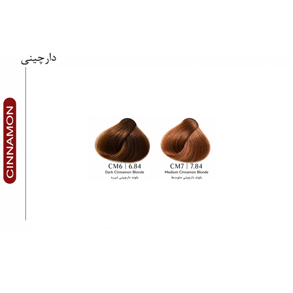 آلبوم رنگ مو فورگرلز سری دارچینی