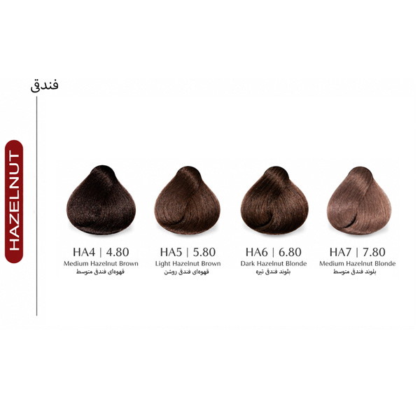 آلبوم رنگ مو فورگرلز سری فندقی