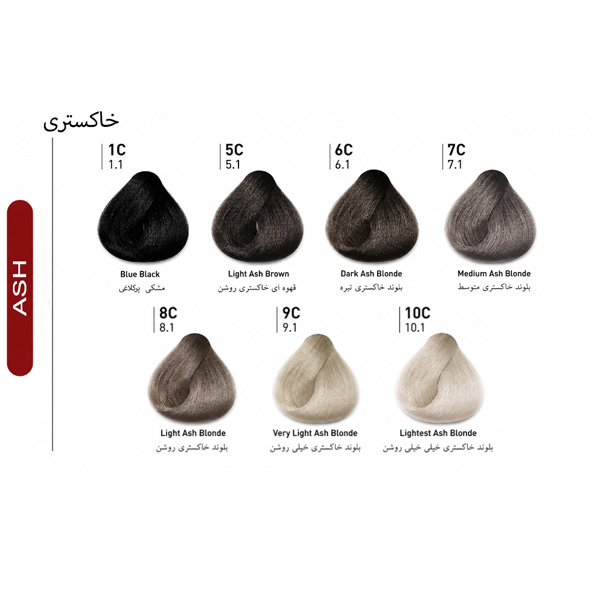 آلبوم رنگ مو دیلنزو سری خاکستری